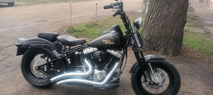 HARLEY-DAVIDSON FLST CROSS BONES