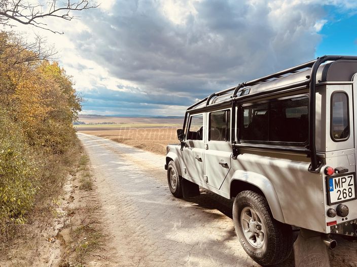 LAND ROVER DEFENDER 110 Crew 2.4 D