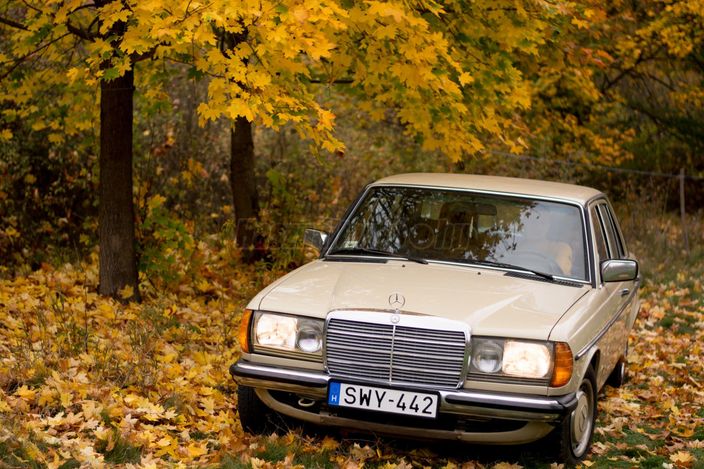 MERCEDES-BENZ W 123