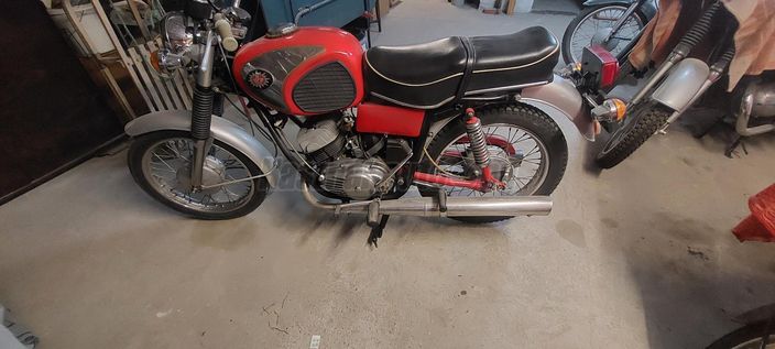 PANNONIA P21