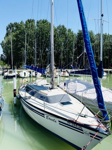 DUFOUR 29