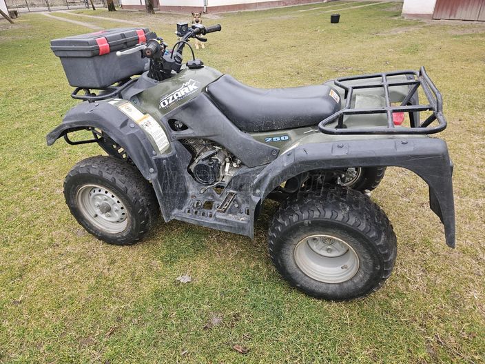 SUZUKI LT-F 250