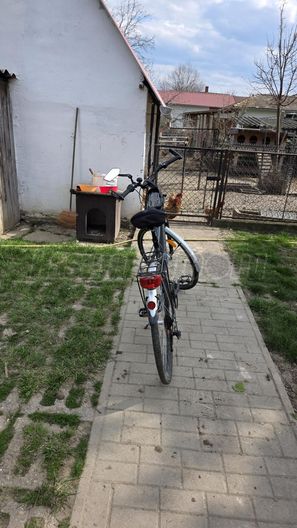 KERÉKPÁR Gepida Alboin 200