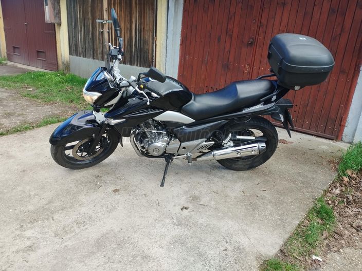 SUZUKI GW 250 INAZUMA