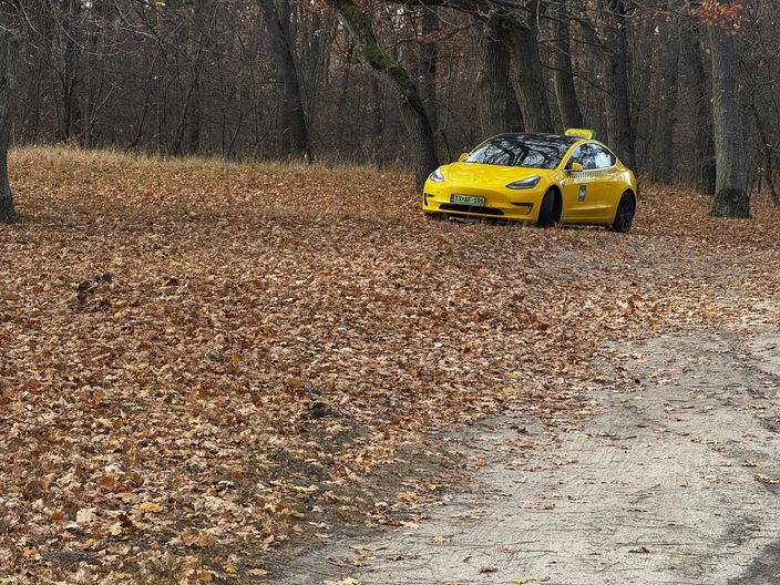 TESLA MODEL 3 Long Range AWD (Automata)