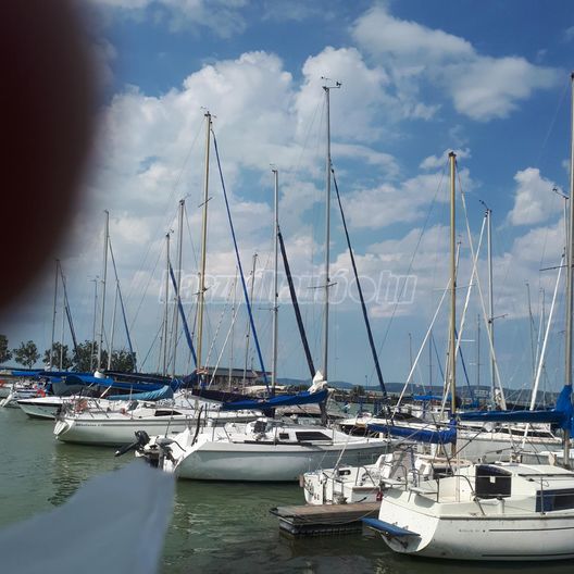 DOLPHIN 26