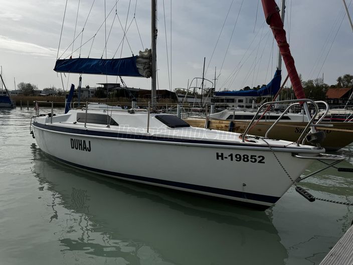 BALATON 25