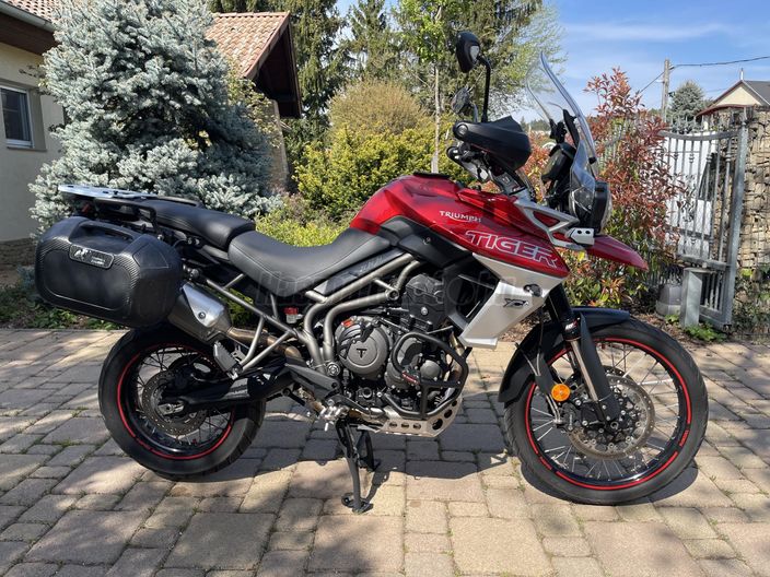 TRIUMPH TIGER