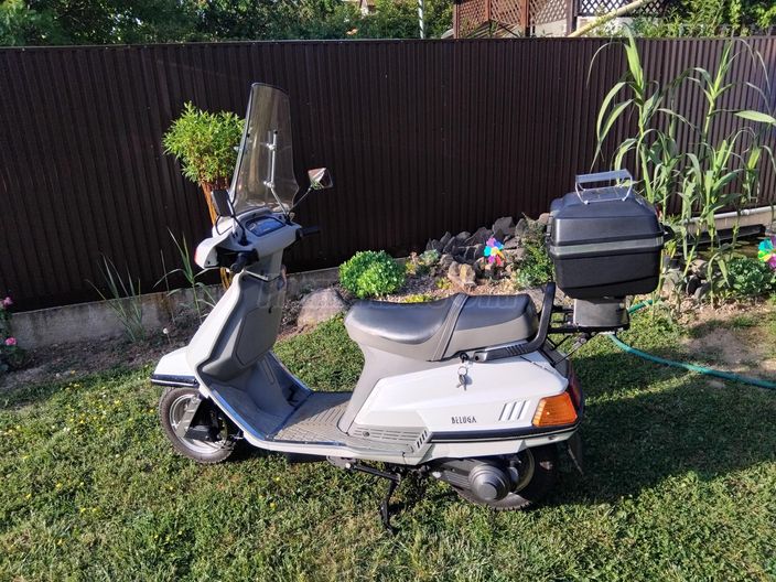 YAMAHA BELUGA