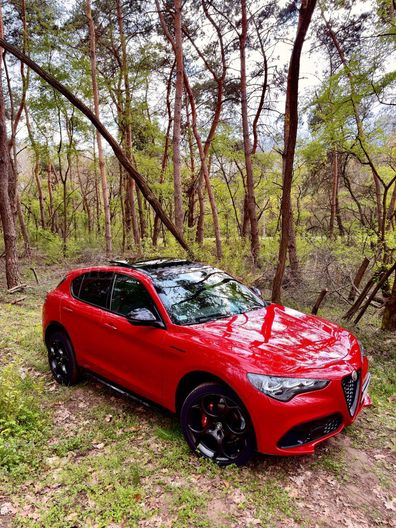 ALFA ROMEO STELVIO 2.2 MultiJet Competizione (Automata)
