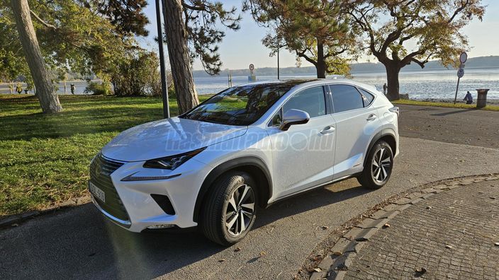 LEXUS NX 300h Luxury CVT