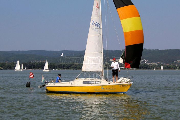 DEHLER VARIANTA 65