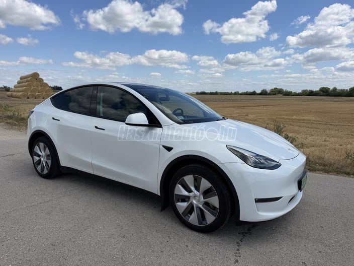TESLA MODEL Y Long Range AWD (Automata)