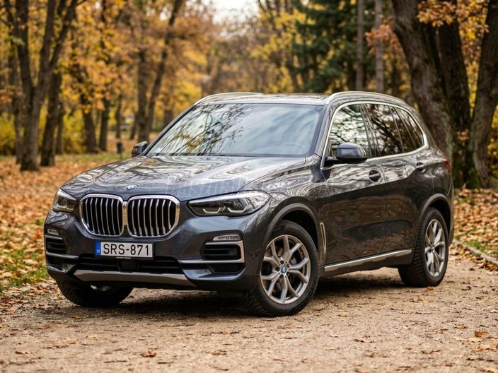 BMW X5 xDrive30d (Automata)