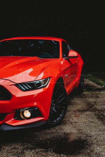 FORD MUSTANG Fastback 5.0 Ti-VCT V8 GT