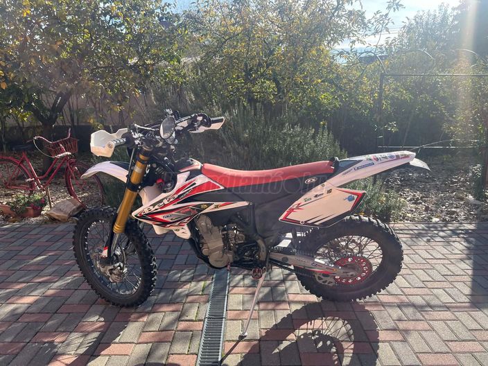 BETAMOTOR RR 450