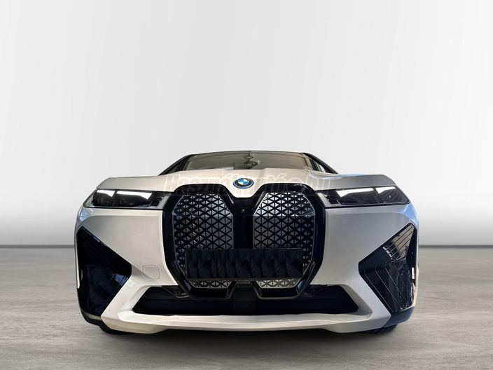 BMW IX xDrive40 74,1kWh