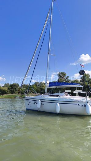 VIKO 20