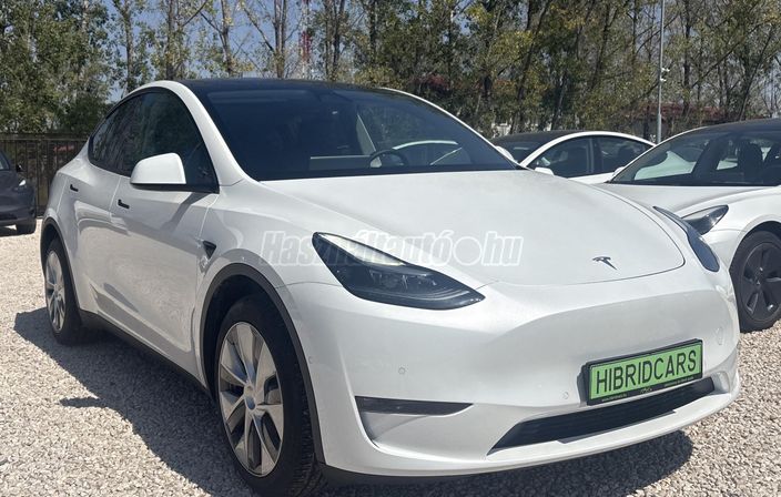 TESLA MODEL Y Long Range AWD (Automata)