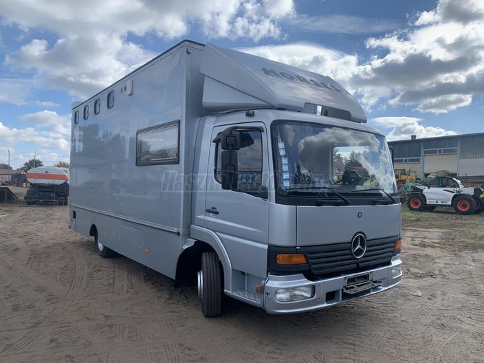 MERCEDES-BENZ 970.01 ATEGO 815