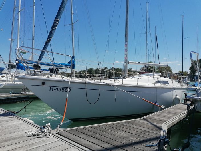 BALATON 31