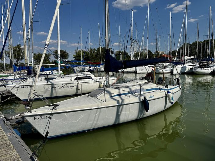 BALATON 25