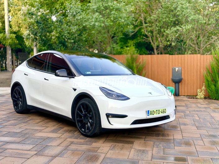 TESLA MODEL Y Long Range AWD (Automata)