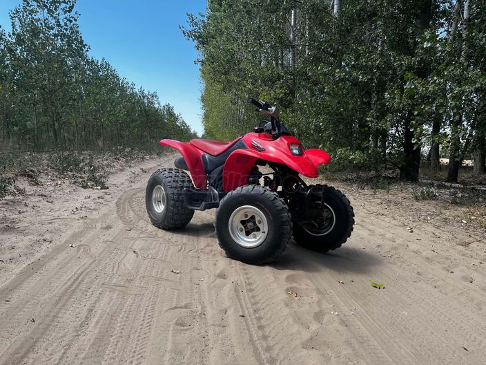 HONDA TRX 250 EX