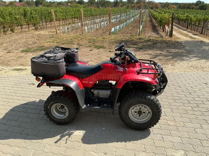 HONDA TRX 250 TM