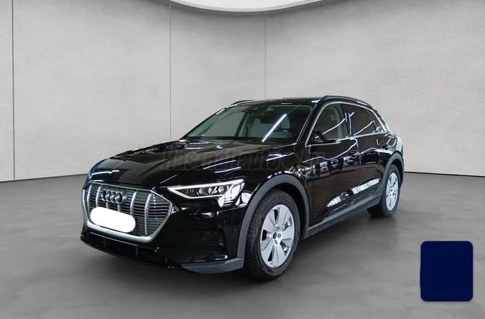 AUDI E-TRON 50 Basis quattro (Automata)