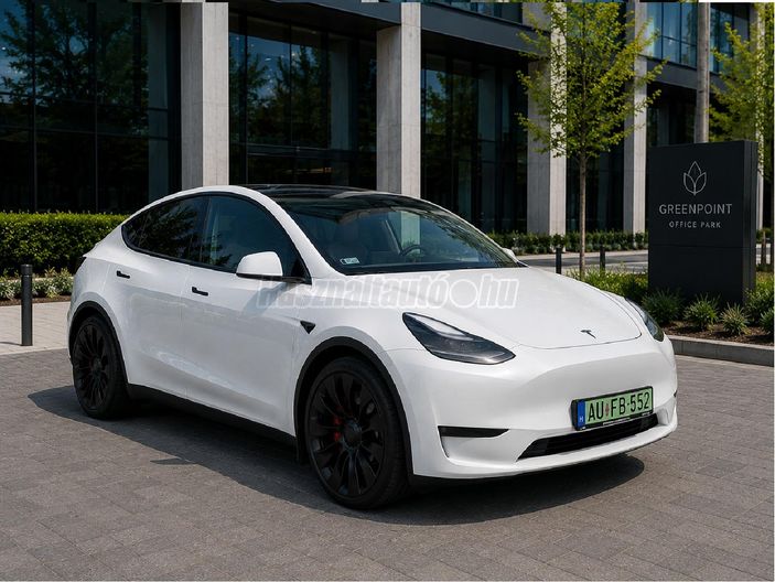 TESLA MODEL Y Performance AWD (Automata)