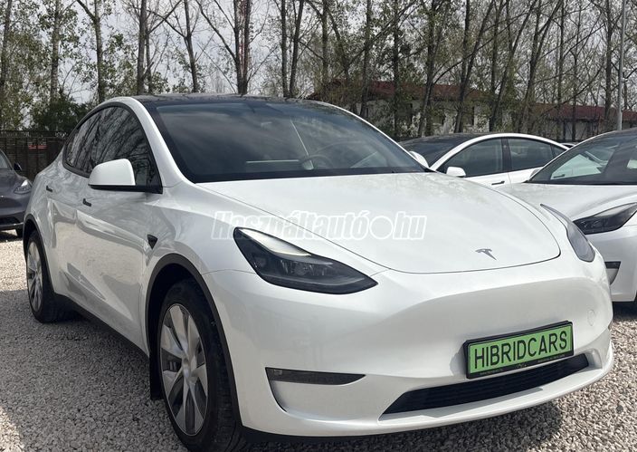 TESLA MODEL Y Long Range AWD (Automata)