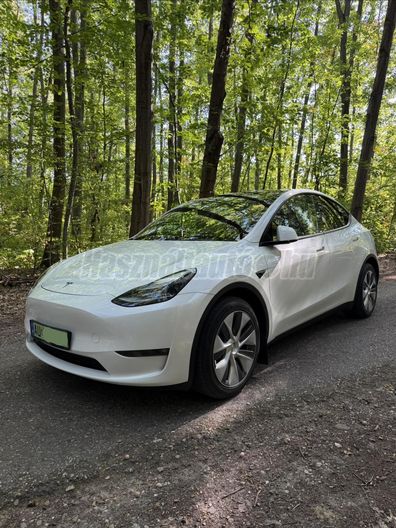 TESLA MODEL Y Long Range AWD (Automata)