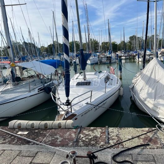 DOLPHIN 26 ( SCHAFER YACHT)