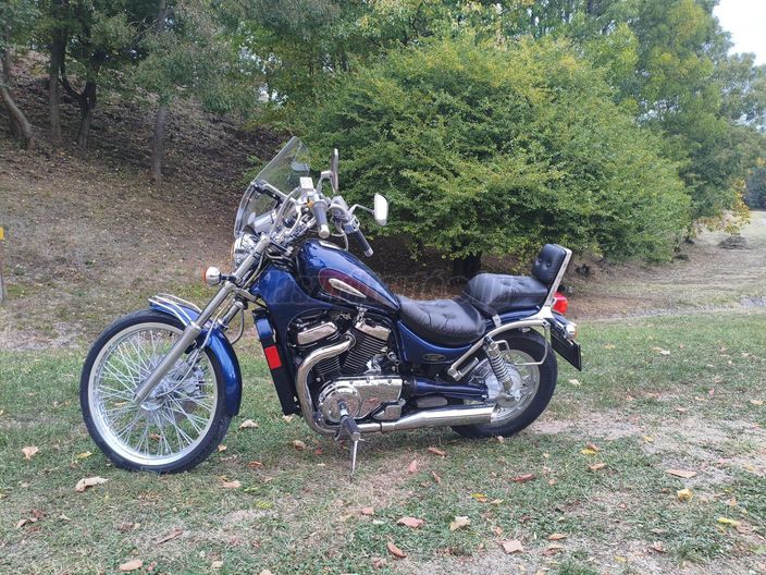 SUZUKI VS 800 (INTRUDER)
