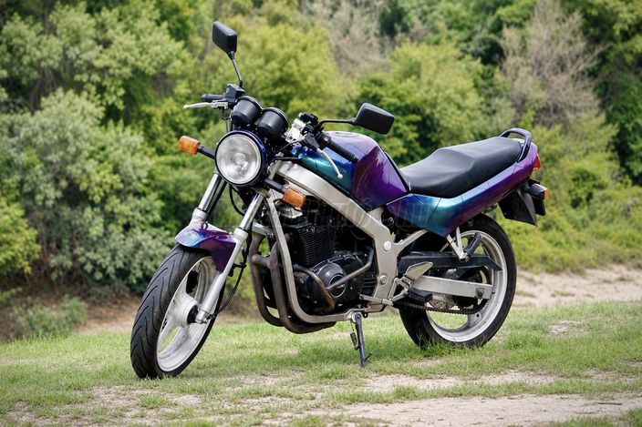 SUZUKI GS 500 E