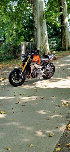 YAMAHA MT-09