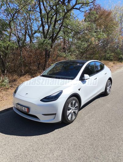 TESLA MODEL Y Long Range AWD (Automata)