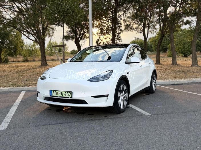 TESLA MODEL Y Long Range AWD (Automata)