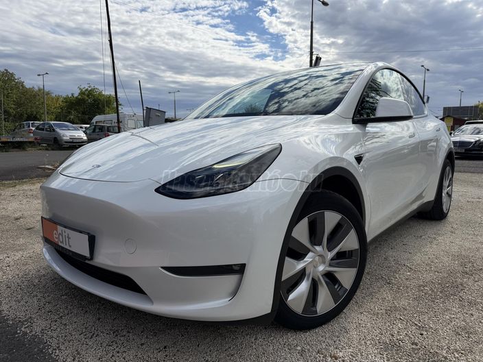 TESLA MODEL Y Long Range AWD (Automata)