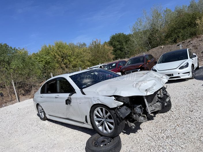 BMW 730 730d xDrive (Automata)