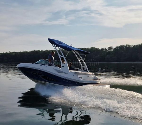 RINKER 21 QX