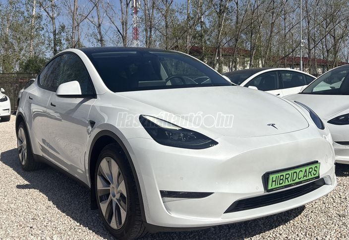 TESLA MODEL Y Long Range AWD (Automata)