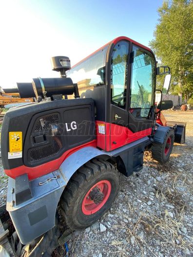 LIUGONG 317