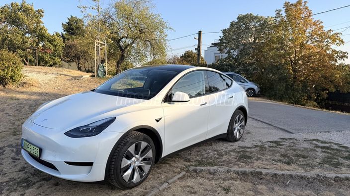TESLA MODEL Y RWD (Automata)