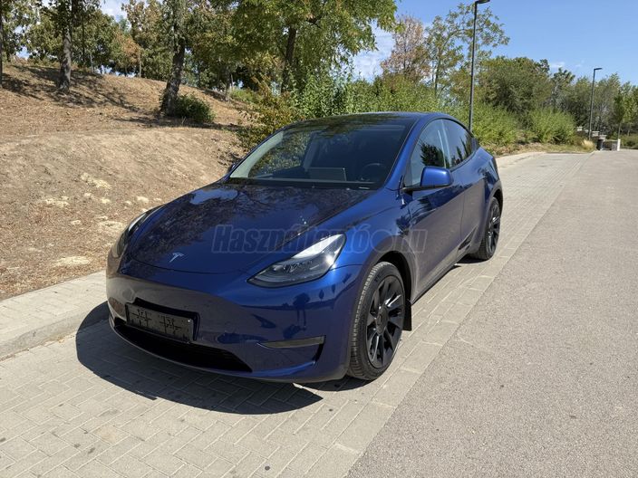 TESLA MODEL Y Long Range AWD (Automata)