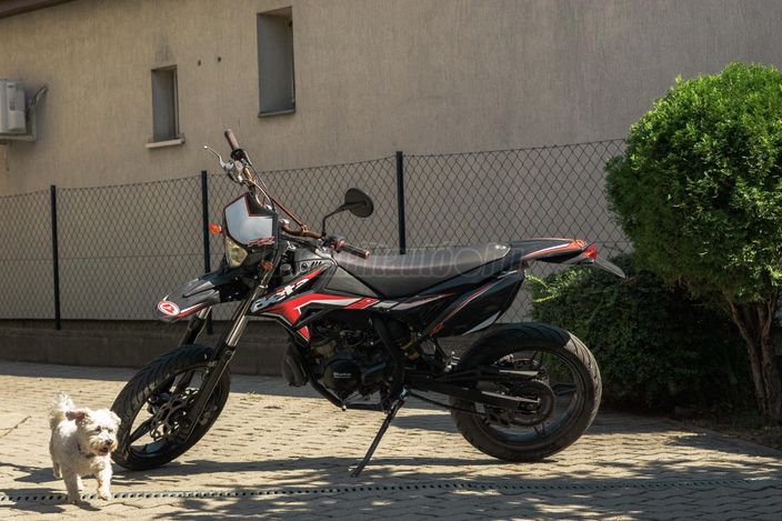 BETAMOTOR RR 50