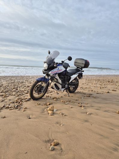 HONDA XL 700 V