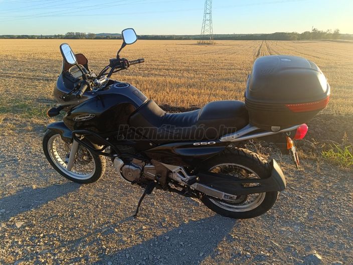 SUZUKI XF 650 (FREEWIND)
