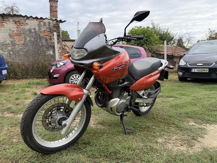SUZUKI XF 650 (FREEWIND)